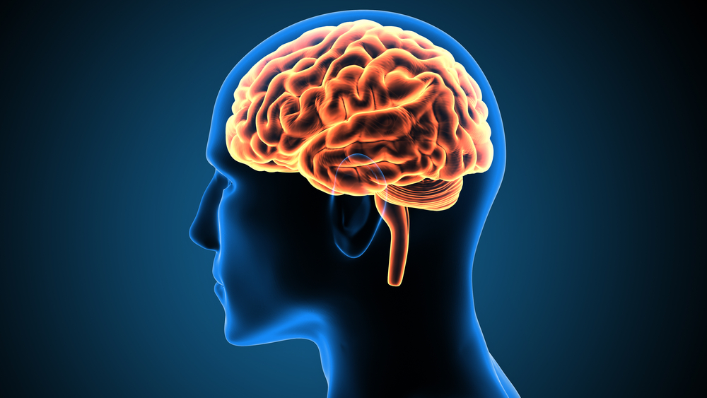 Round-Brain.jpg