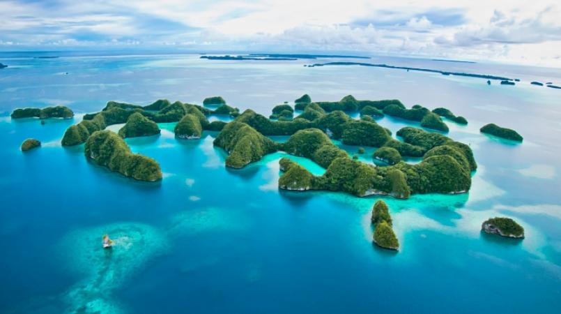 palau.jpg