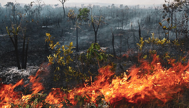 Brazil-Amazon-fire.jpg