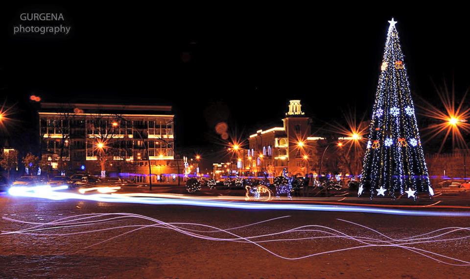TELAVI.jpg