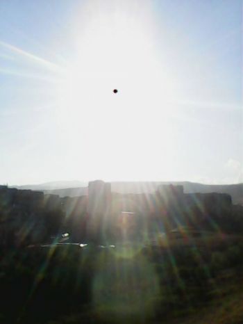 certili-1.jpg