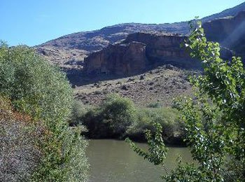 tavkvetula4.jpg